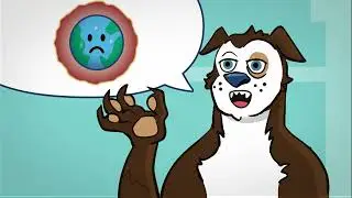 Food Waste: Dog Talks Back