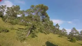 hold the line -- Armattan Chameleon Ti 6s