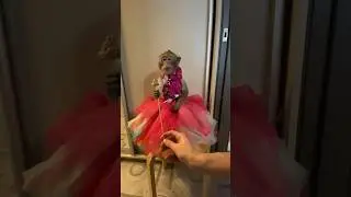 С 8 Марта Читочка.                     