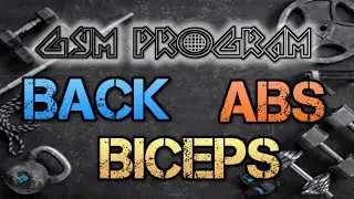 GYM PROGRAM : Back, Abs, Biceps |