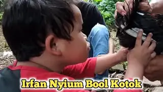 Irfan Nyium Bool Kotok #budak #irfanlontong