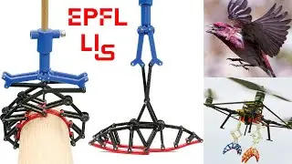 Avian-Inspired Claws Enable Robot Perching or Walking