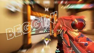 BEGGIN' (Valorant Montage)