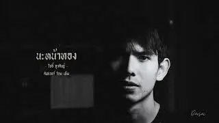 นะหน้าทอง - JOEY PHUWASIT ( Cover by Em )
