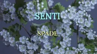 Senti. SPADE (mus.Phil Ginzburg, lyr.Michael Kirichenko) - promo version
