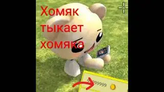 3 августа 2024 г.