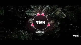 Aao Naa | Sadhana Sargam | Udit Narayan | Remix | Veen