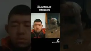 как правильно накачать грудь