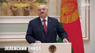 Зеленский просто гнида