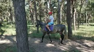 Верхом на лошади, махнул не глядя - танка не было....