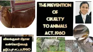 விலங்கு|கொடுமை| தடுப்பு| PREVENTION | CRUELTY |ANIMALS |ACT| 1960