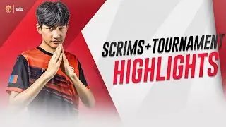 HIGHLIGHTS