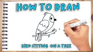 How To Draw Bird Sitting On A Tree - Simple Drawing Step By Step