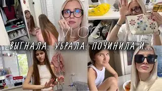Началось, еле выгнала. Нашла проблему. Убрала в комоде. Посылка перемен. Оставила без ужина.
