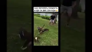«Не связывайся с мамой-уткой при исполнении — она просто по-другому устроена» 