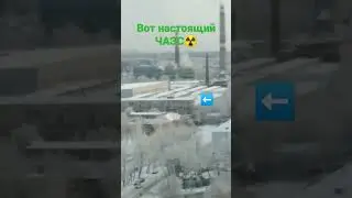 панда в России