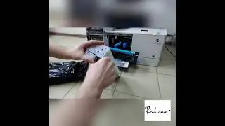 ЩЕЛЧКИ 🤔 В МФУ CANON image RUNNER 2202