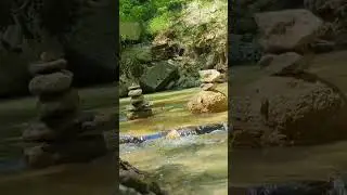 🌊Tranquil River Serenity