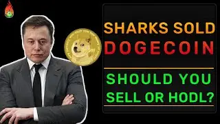 DOGECOIN SOLD BY BILLIONAIRES! DOGECOIN CRASH EXPLAINED (IMPORTANT UPDATE!) | DOGECOIN NEWS