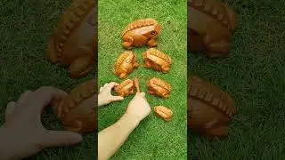wooden frog asmr 
