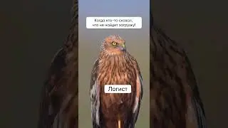 Логисты, что скажете?😉 