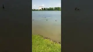 парк Солнечный остров//Краснодар//15.05.2023