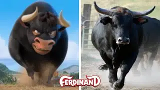 Ferdinand Characters In Real Life | Star Gom