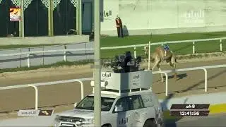 ملخص أشواط الحيل والزمول العامة بالمحلي الثامن ٧-٣-٢٠٢٠