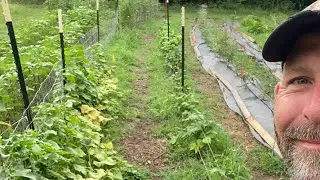 Team Tate Outdoors is live in the GARDEN