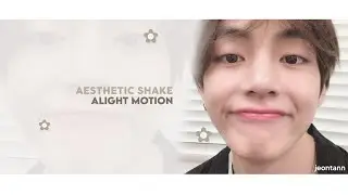 𓂃 ⊹ aesthetic shake – alight motion