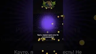 HAMSTER KOMBAT КОМБО КАРТЫ | 12 - 13 июня 