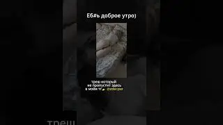 🔴Весь треш в телеграм: @zdecper  #треш #фрося #трешновость #блогеры