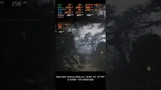 Black Myth: Wukong Benchmark - i5 12400F vs i3 12100F - RTX 4060 Ti - August 2024 #3