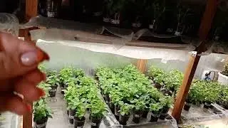 😱Шикарный подарок от АГРОБАЛТ.😭