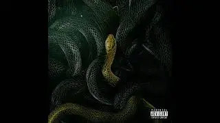 Megan Thee Stallion - Cobra (Rock Remix) ft. Spiritbox (Clean)
