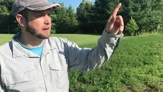 Acoustic Bat Monitoring