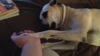 A simple video about my special gift named Lola...Love.