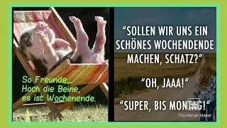 👍🤗Es ist Frei(u)tag...Jetzt aber ab ins Wochenende.🙋‍♀️😅