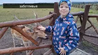 Три похода 3г Класс Конкурс Движение Первых
