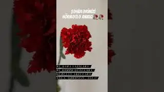 Şəhidlərimizi hörmətlə anırıq 20.01.2024