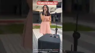 Автономный караоке аудиомонстр комбоусилитель 