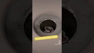 Furry problems 