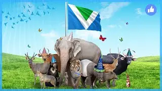 The Vegan Flag is celebrating it's 1st birthday | June 9th 2018