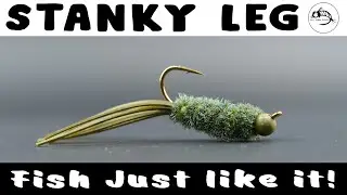 A Simple Fly Pattern That Crushes Fish! - The Stanky Leg - Fly Tying Tutorial