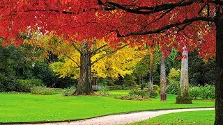 Albury Botanical Garden Walk & Talk | NSW Australia
