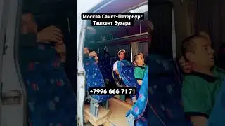 Maskva Tashkent Buxoro #ташкент #automobile #автобус #дальнобой #avtobus #топ #тикток +79966667171