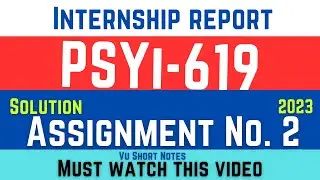 Internship Report (PSYI619)Assignment No. 02 / Psyi619 Internship Report Writing Assignment 2