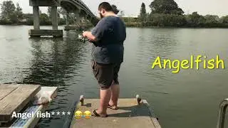 Every FISH Caught on my Channel (Flathead Bream Flounder Angelfish Striped Trumpeter Fish)