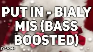 PUT IN - Biały Miś (BASS BOOSTED)