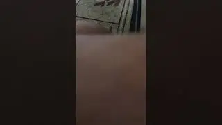 Eeeeeeeeeee nanananaananana